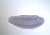 PC00488