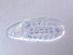 IP01012