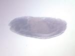 GH04731-a
