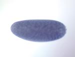 RT01011
