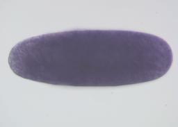 GH16593-IR