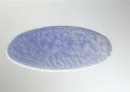 GH28728-tf