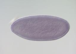 GH14720-IR