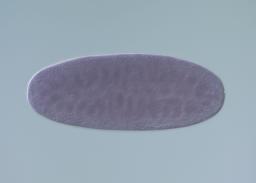 LP10412-AU