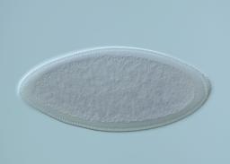 SD04202