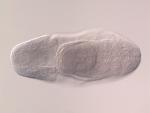 FI06459