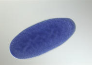 SD02833-tf
