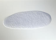 GH16858