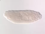 IP12044