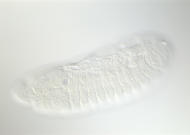 GH01528-tf