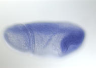 GH08712-tf
