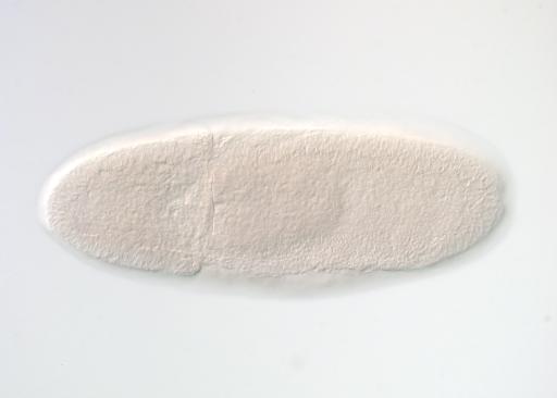 LP12067