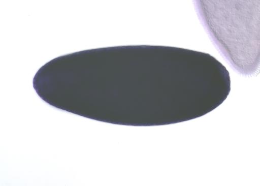 GH05001