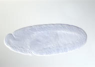 GH10914