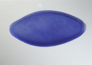 GH11495