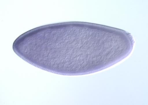 FI01108