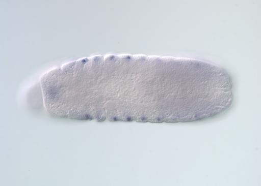 FI01112