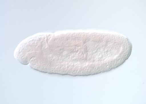 IP03705