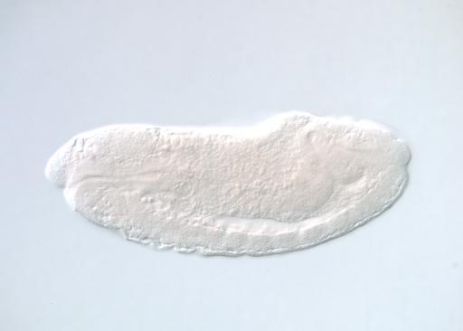 IP07658