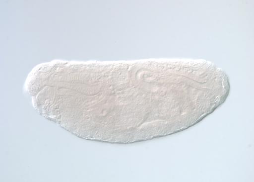 IP18415