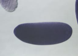 LD30602-dg