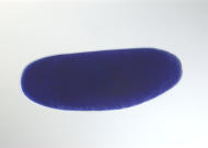 LD09078-tf