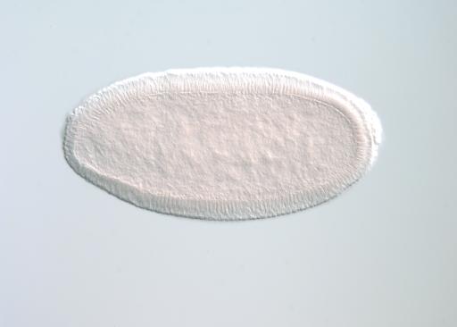 FI12033
