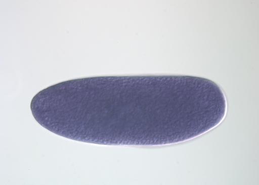 FI18056