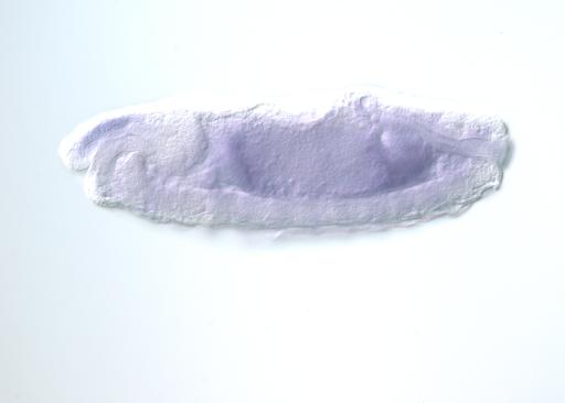 MIP29808