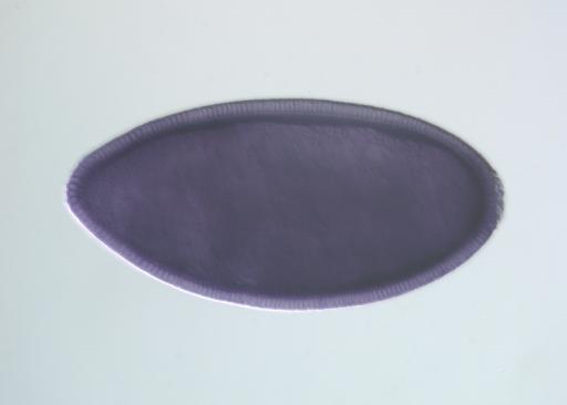 MIP20544