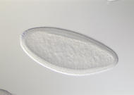 RE04054-tf
