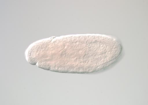 MIP24394