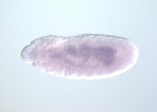 SD14047