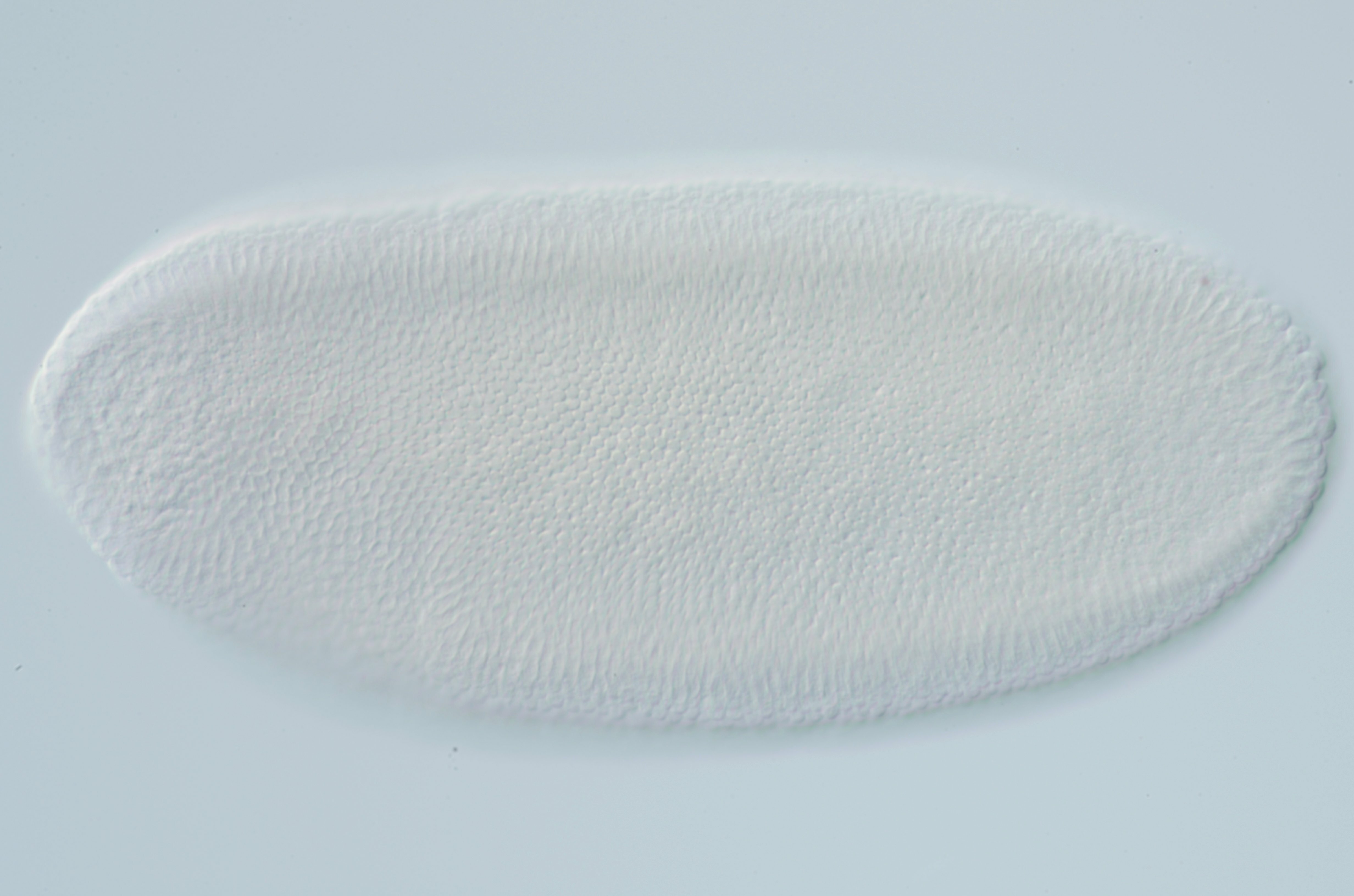 PC01032