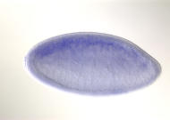 LD04782