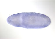 LD05592