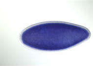 RE12209