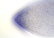 RE08706