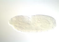 RE70318-cm