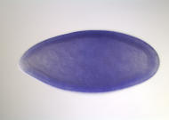 LD08529-cm