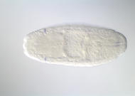 GH27042-dg