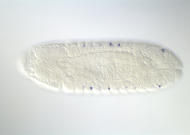 GH04680-dg