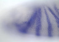 GH10871-dg