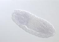 GH01059