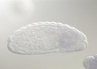 GH01941