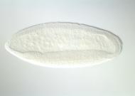 GH08116-dg