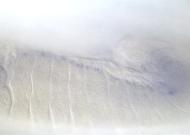 SD06560-dg