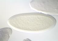 LD05259-cm