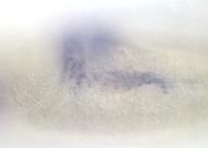CG14427-cm