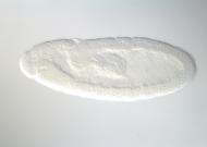 GH21114-dg